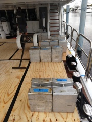 IMG_20190404_113804247